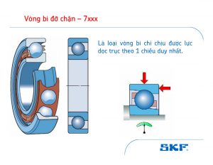 Vòng bi đỡ chặn