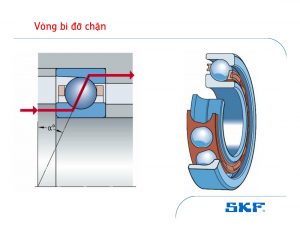 Vòng bi đỡ chặn